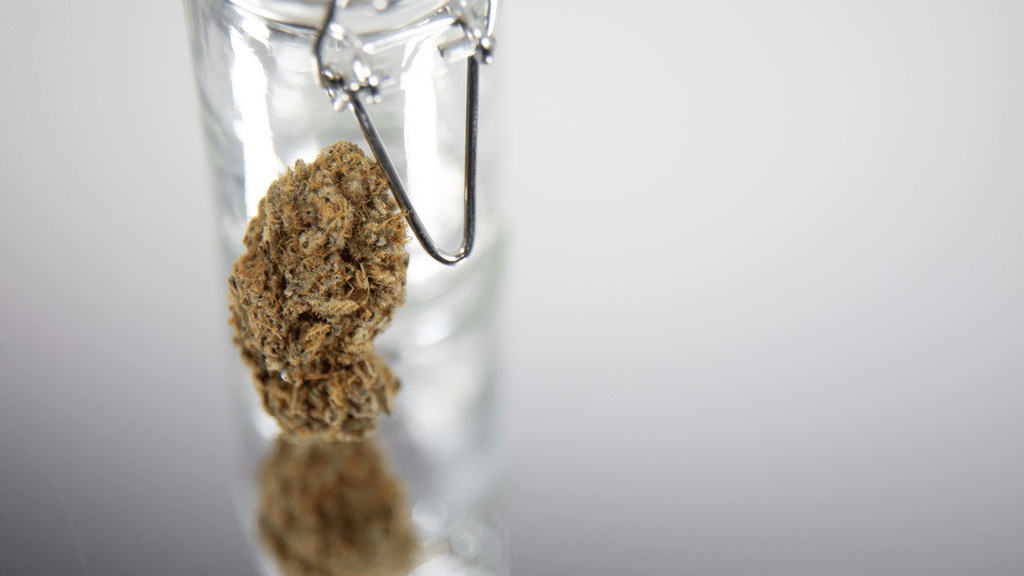 Why Some Dispensaries Ditch Rewards—and What They’re Doing Instead